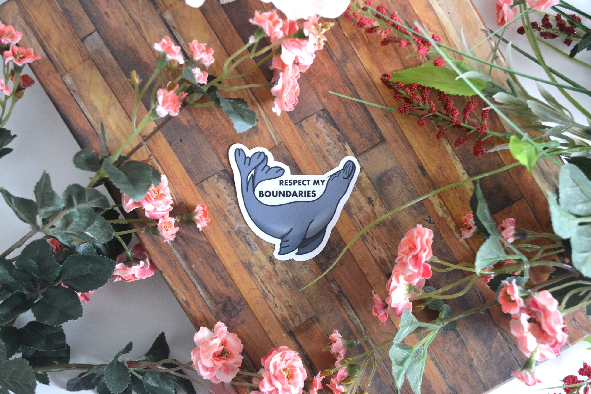Individual sticker of a Hawaiian monk seal illustration with text reading "respect my boundaries" above it.